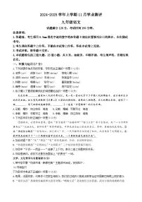 辽宁省沈阳市浑南区2024-2025学年九年级上学期期中语文试题