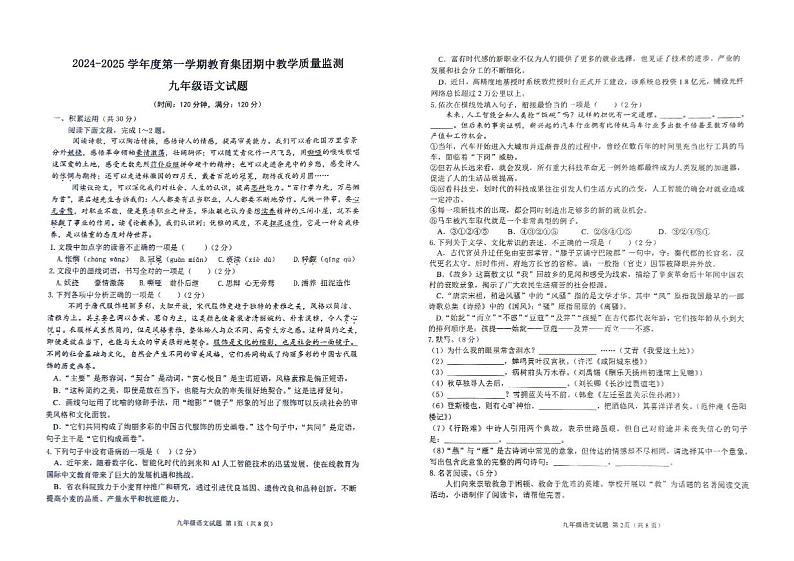 山东省滨州市博兴县2024-2025学年九年级上学期11月期中语文试题01
