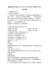 湖南省永州市道县2022-2023学年七年级下学期期中考试语文试卷(解析版)