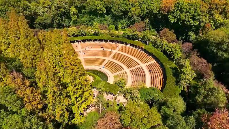 第18课《我的白鸽》课件-2024-2025学年统编版语文七年级上册(2024)第1页