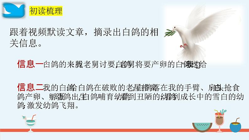 第18课《我的白鸽》课件-2024-2025学年统编版语文七年级上册(2024)第6页