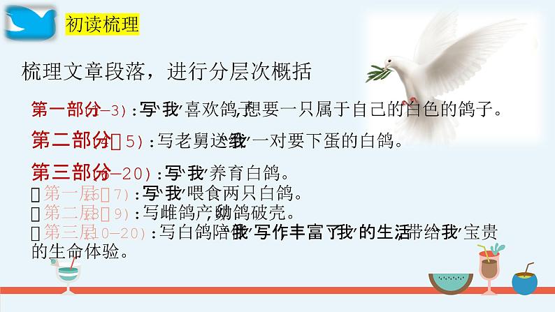 第18课《我的白鸽》课件-2024-2025学年统编版语文七年级上册(2024)第7页