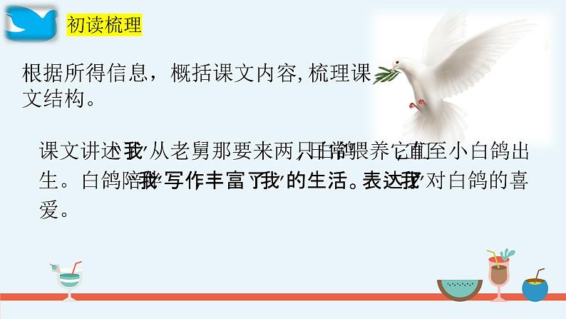 第18课《我的白鸽》课件-2024-2025学年统编版语文七年级上册(2024)第8页