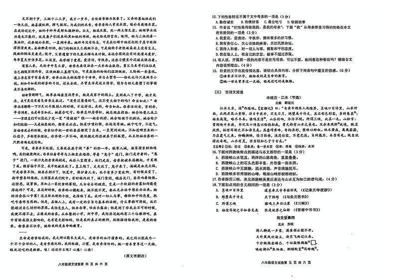 2024-2025秋季学期铜仁市碧江区八年级上册部编版 期中测试试卷+答题卡第3页