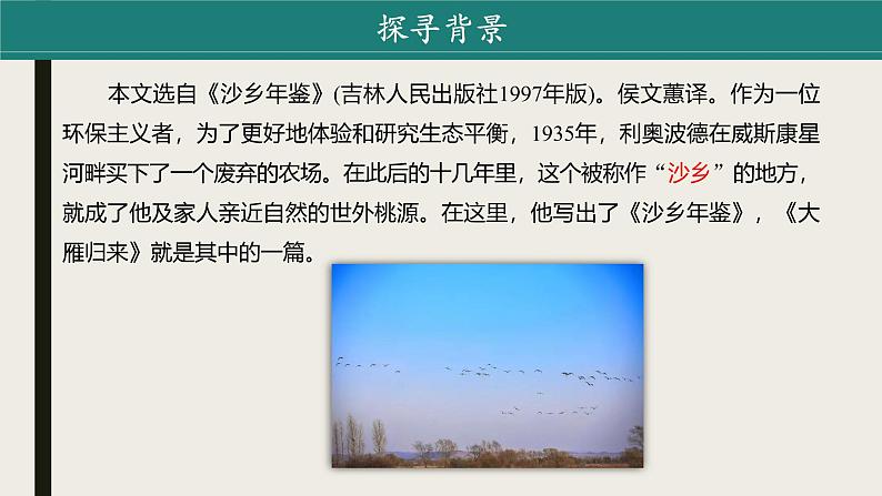 课件:部编版初中语文八年级下册第二单元第7课 大雁归来第6页
