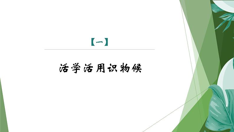 课件:部编版初中语文八年级下册第二单元第5课 大自然的语言 第2课时第3页