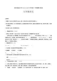 广东省深圳市高级中学2024-2025学年九年级上学期期中考试语文试题