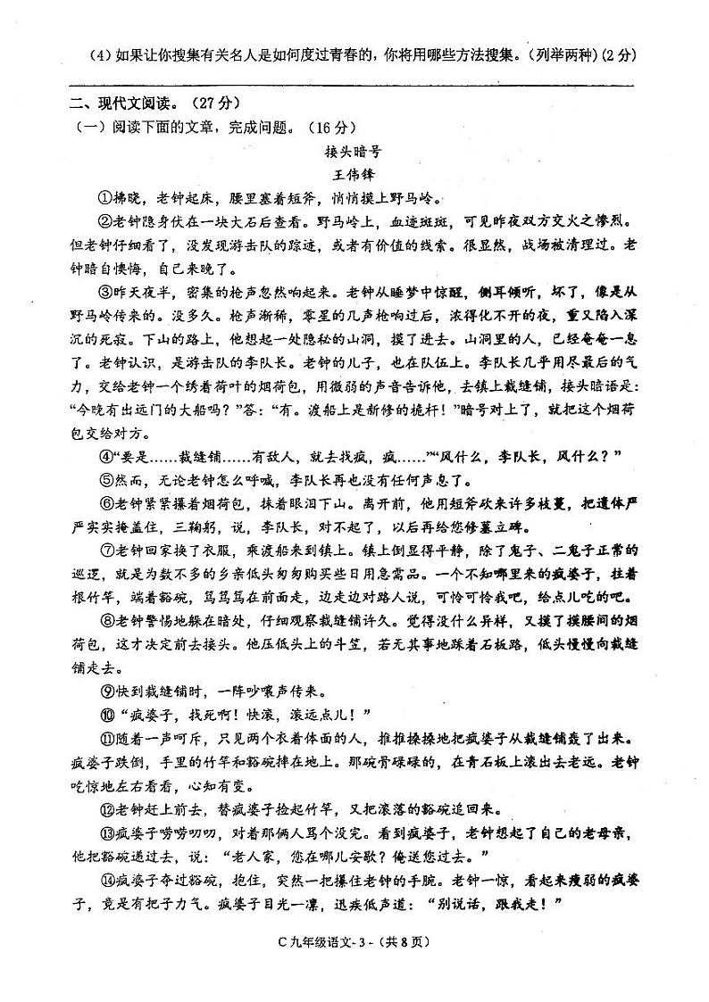 河南省驻马店市确山县2024-2025学年九年级上学期11月期中语文试题第3页