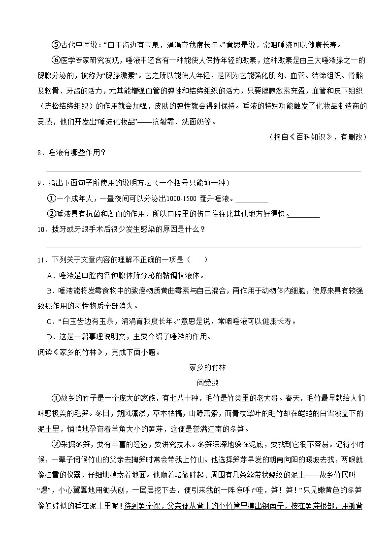 上海市松江区2024-2025学年七年级上学期语文第一次月考试卷第3页