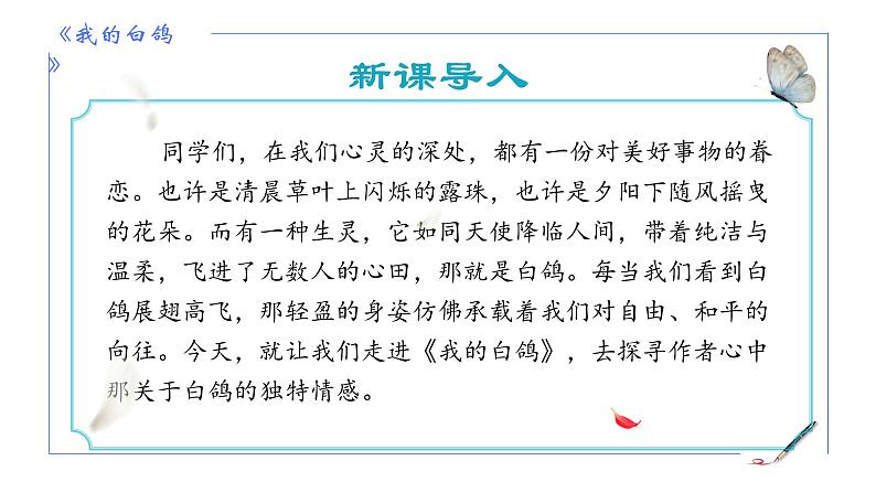 统编版语文七年级上册第18课《我的白鸽》教学课件04
