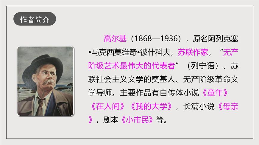 人教部編版語文九年級下冊4《海燕》課件第4頁