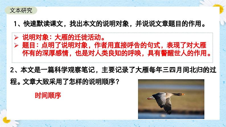 第19课《大雁归来》课件+2024—2025学年统编版语文七年级上册第7页