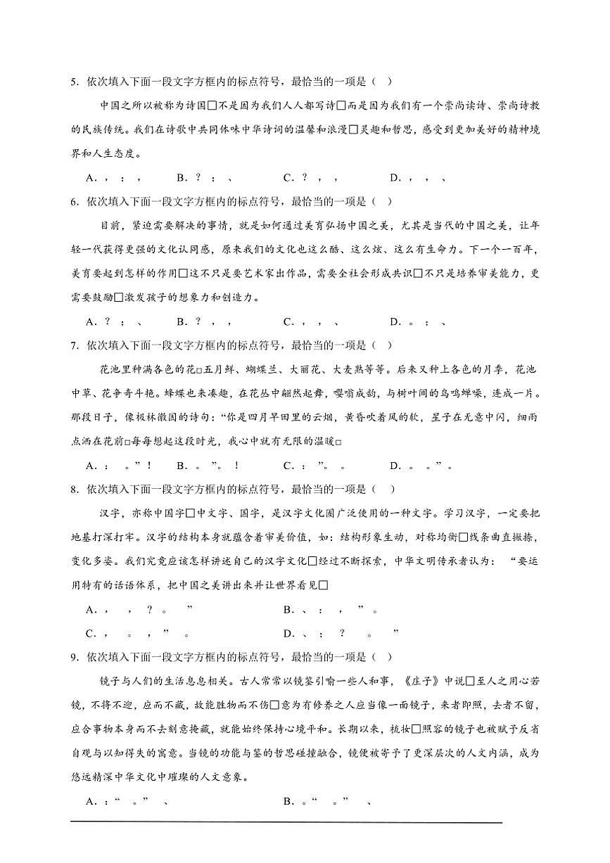 2025年語文中考復(fù)習(xí)備考專項練 標(biāo)點符號辨析（三）第2頁