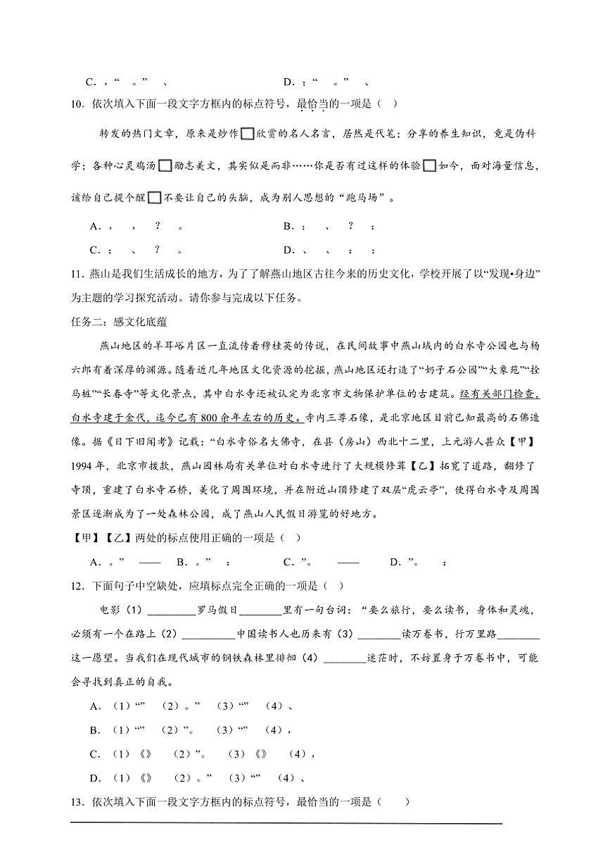 2025年語文中考復(fù)習(xí)備考專項練 標(biāo)點符號辨析（三）第3頁