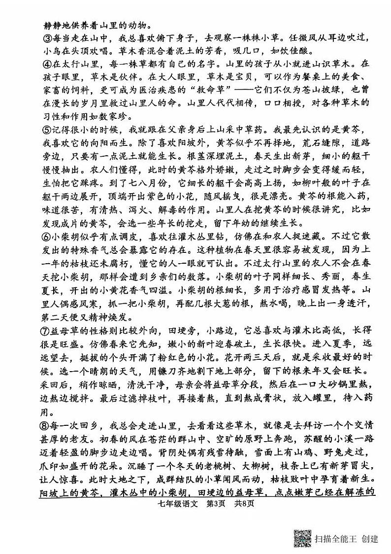 2024-2025学年安阳市第八中学七年级上学期期中语文测试第3页