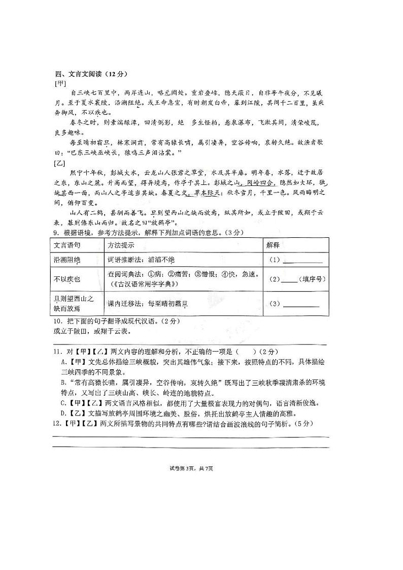 内蒙古呼和浩特市赛罕区2024-2025学年八年级上学期期中语文试卷03