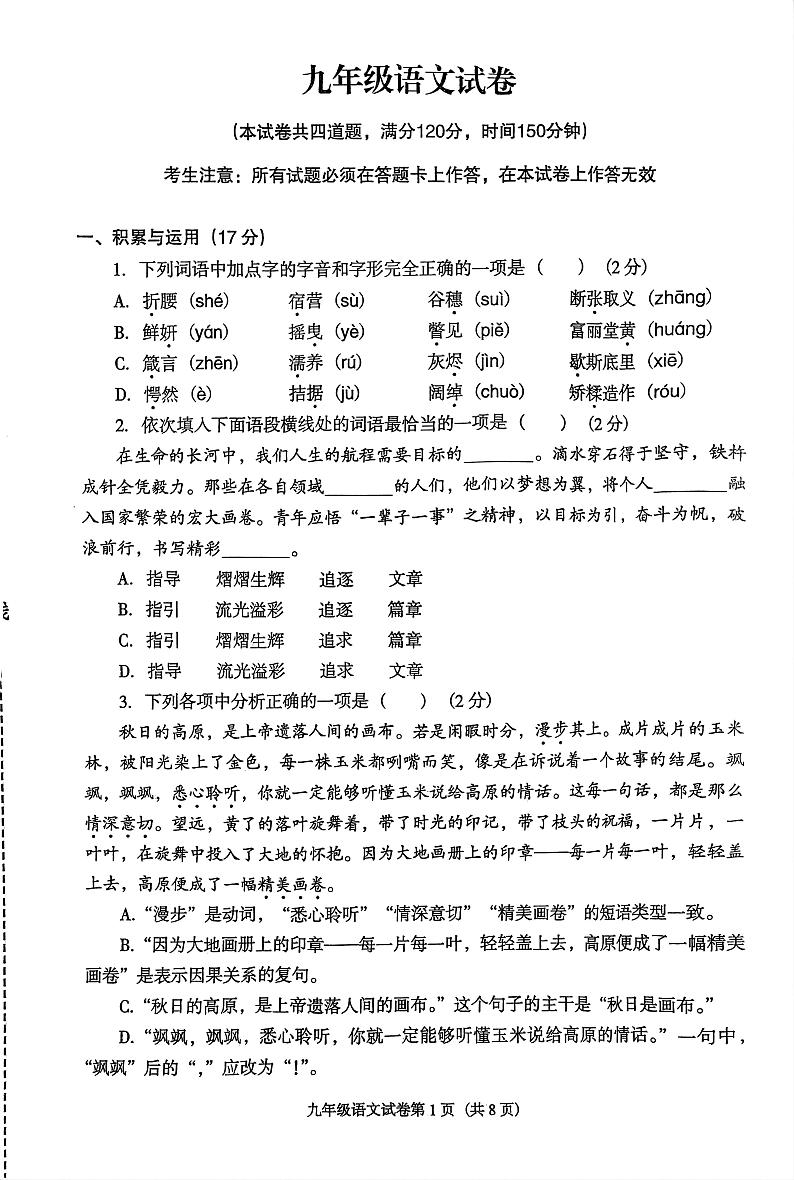 辽宁省沈阳市于洪区2024-2025学年九年级上学期期中语文试卷01