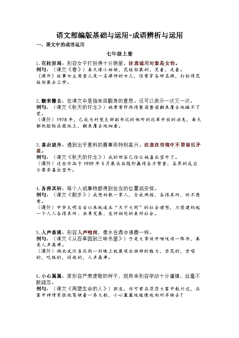 2024语文基础与运用-成语辨析与运用讲义(初中)第1页
