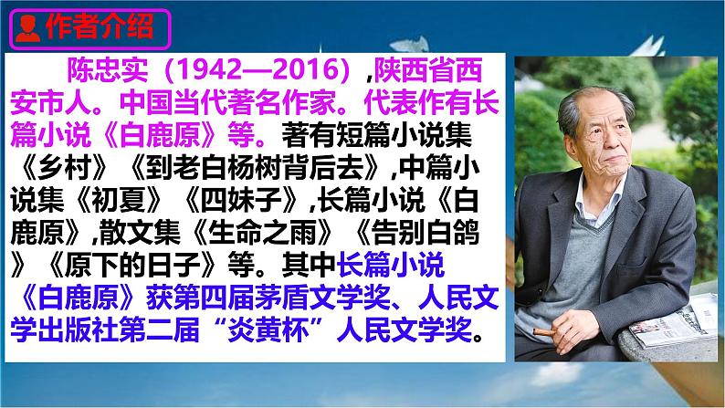 语文人教部编版2024七年级上册 第18课 我的白鸽 课件第4页