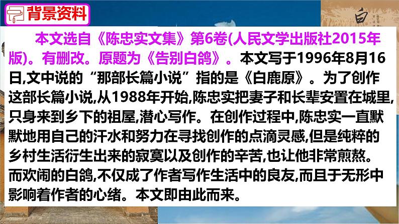 语文人教部编版2024七年级上册 第18课 我的白鸽 课件第5页
