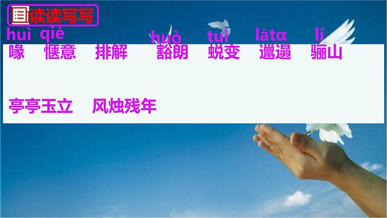 语文人教部编版2024七年级上册 第18课 我的白鸽 课件第6页