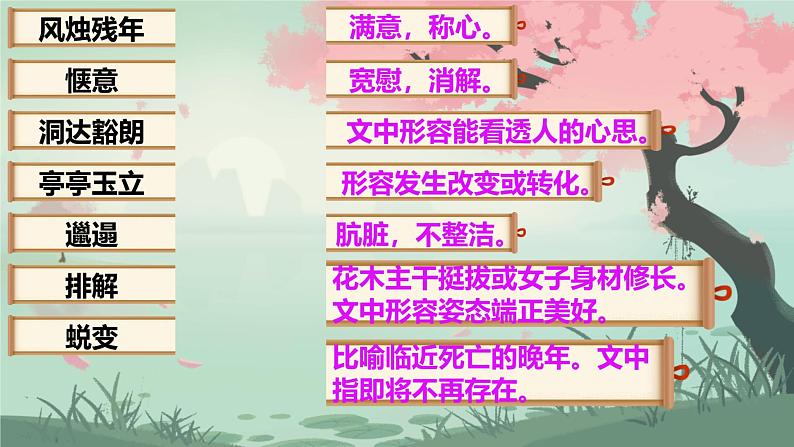 语文人教部编版2024七年级上册 第18课 我的白鸽 课件第7页