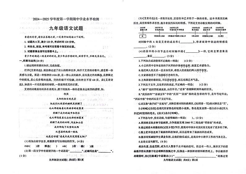 山东省聊城市莘县2024-2025学年九年级上学期11月期中语文试题01