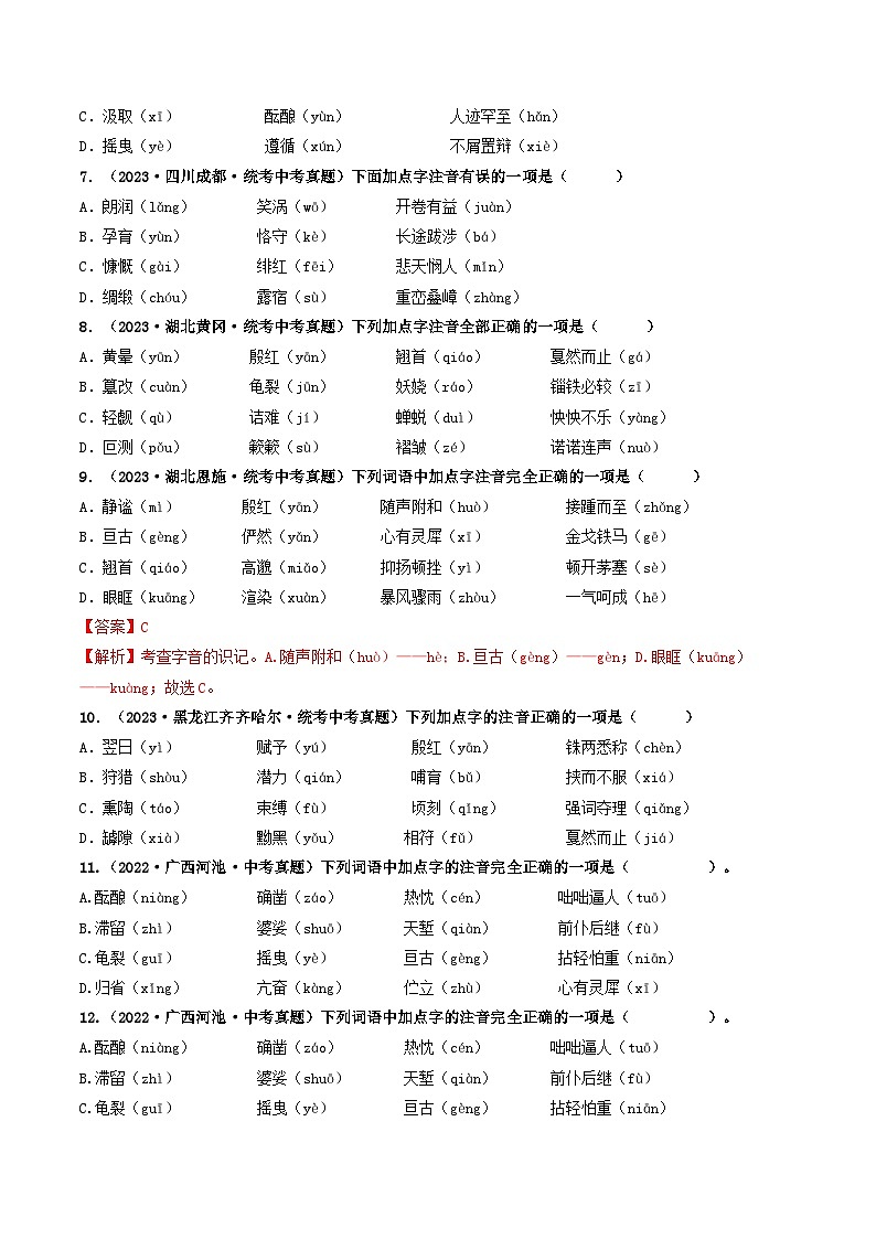 中考语文一轮复习考点过关练习考点1 字音、字形(好题冲关)(原卷版)第2页