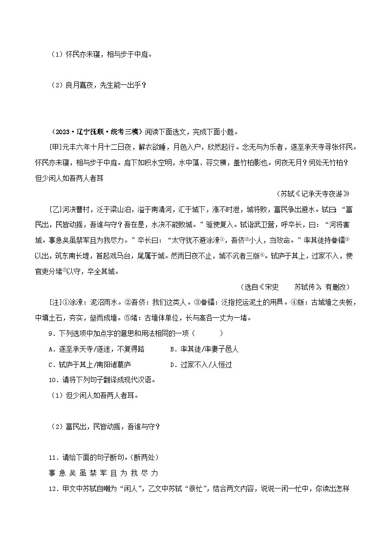 2025年中考语文二轮复习文言文对比阅读专题14 记承天寺夜游(原卷版)第3页