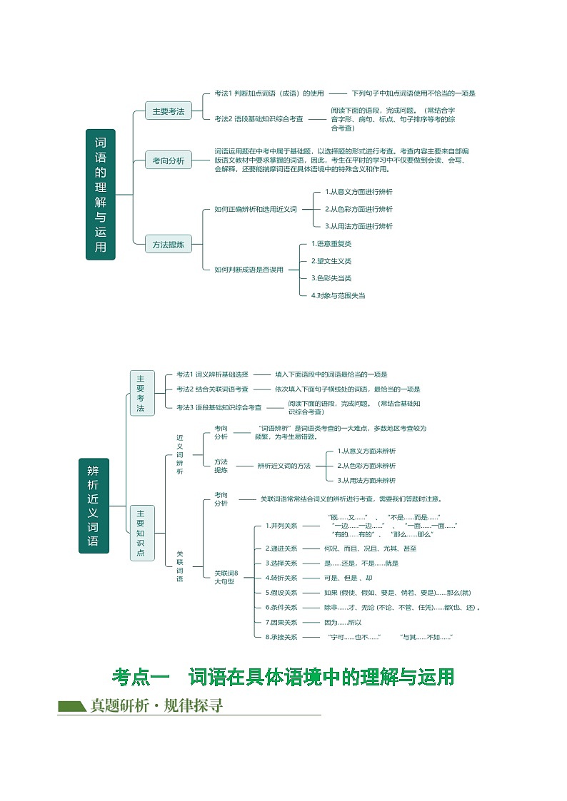 中考语文二轮复习讲与练专题02 词语理解运用(解析版)第3页