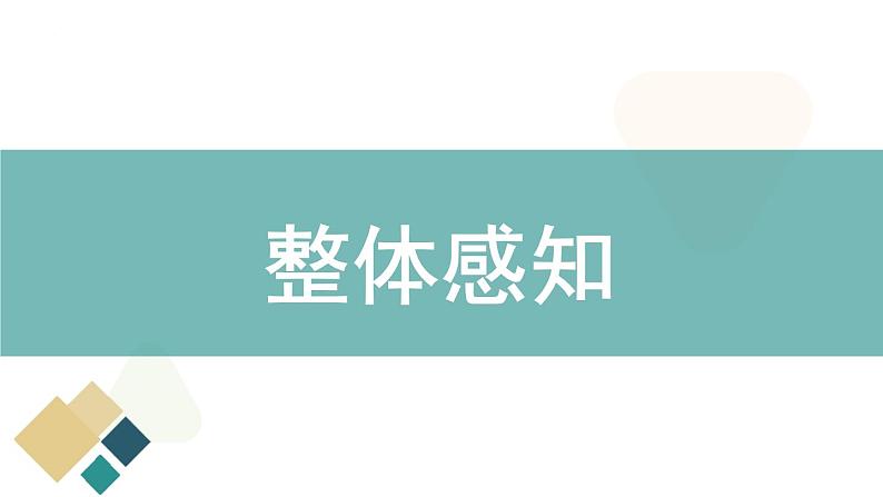 部编版九下语文第7课《溜索》同步课件06