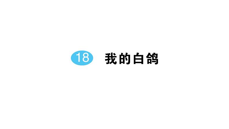 初中语文新人教部编版七年级上册第18课《我的白鸽》作业课件(2024秋)第1页