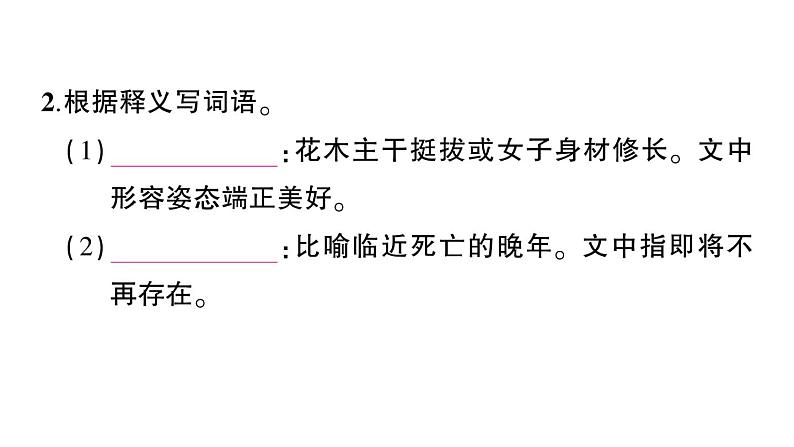 初中语文新人教部编版七年级上册第18课《我的白鸽》作业课件(2024秋)第3页