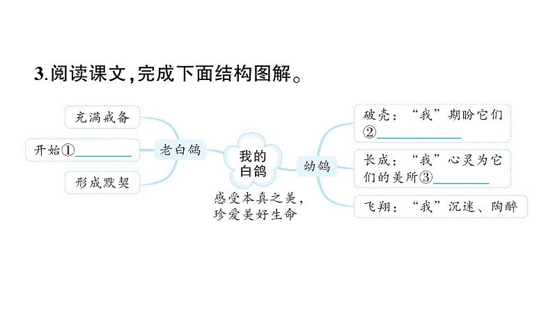初中语文新人教部编版七年级上册第18课《我的白鸽》作业课件(2024秋)第4页