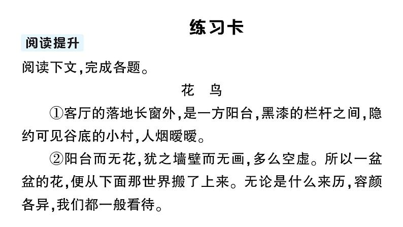 初中语文新人教部编版七年级上册第18课《我的白鸽》作业课件(2024秋)第5页