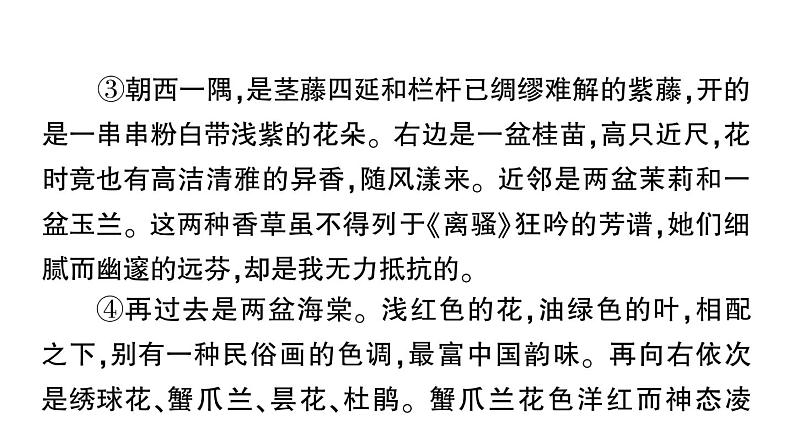 初中语文新人教部编版七年级上册第18课《我的白鸽》作业课件(2024秋)第6页