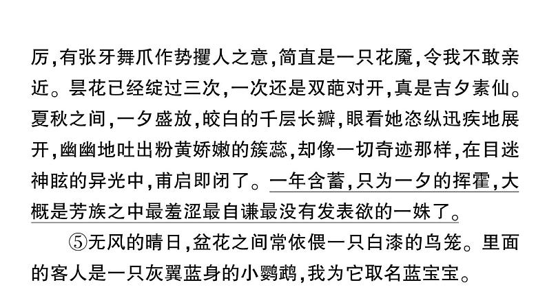 初中语文新人教部编版七年级上册第18课《我的白鸽》作业课件(2024秋)第7页