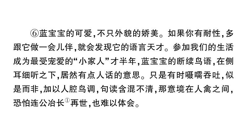 初中语文新人教部编版七年级上册第18课《我的白鸽》作业课件(2024秋)第8页
