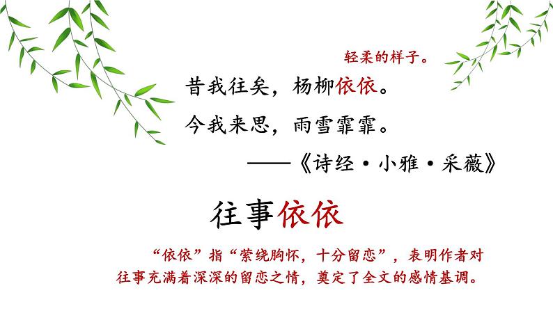 初中语文新人教部编版七年级上册第10课《往事依依》考点精讲课件(2024秋)02
