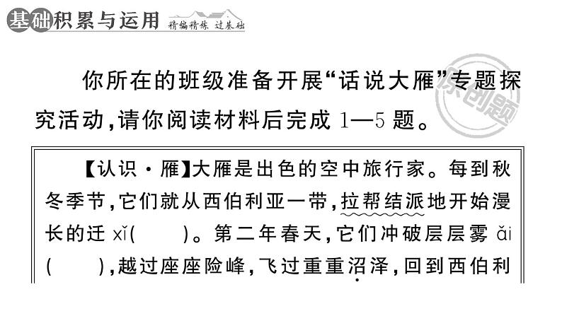 初中语文新人教部编版七年级上册第19课《大雁归来》作业课件(2024秋)第2页