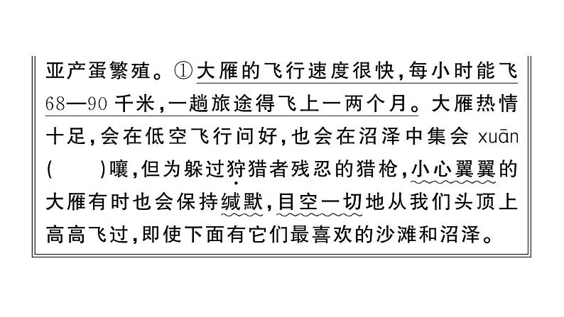 初中语文新人教部编版七年级上册第19课《大雁归来》作业课件(2024秋)第3页