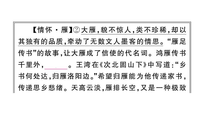 初中语文新人教部编版七年级上册第19课《大雁归来》作业课件(2024秋)第6页