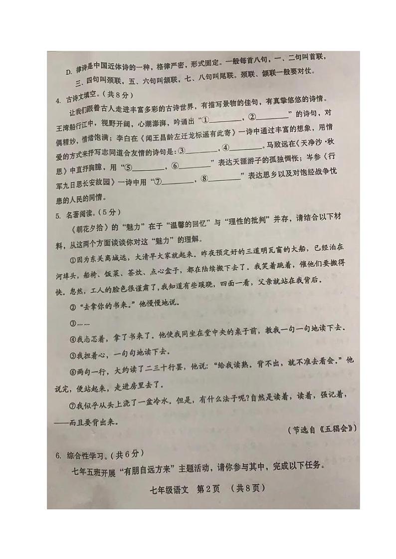 河南省周口市川汇区2024-2025学年七年级上期期中质量监测语文试题02