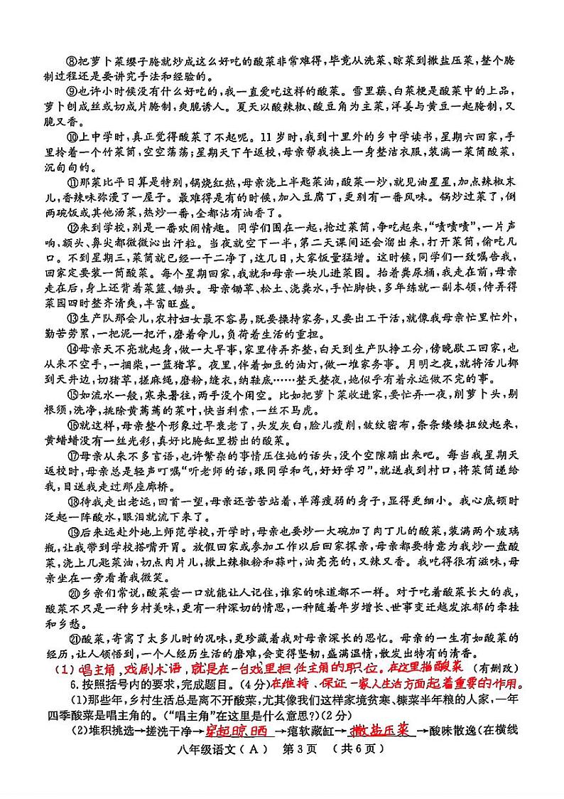 河南省安阳市林州市2024-2025学年八年级上学期期中考试语文试题A卷03