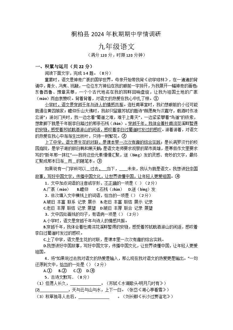 河南省南阳市桐柏县2024年秋期期中九年级语文学情调研试卷第1页