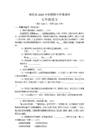 河南省南阳市桐柏县2024-2025学年七年级上学期11月期中语文试题