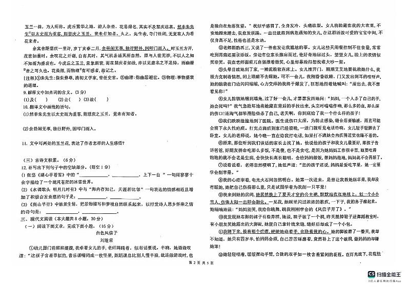 江西省吉安市十校联盟2024-2025学年九年级上学期11月期中语文试题第2页