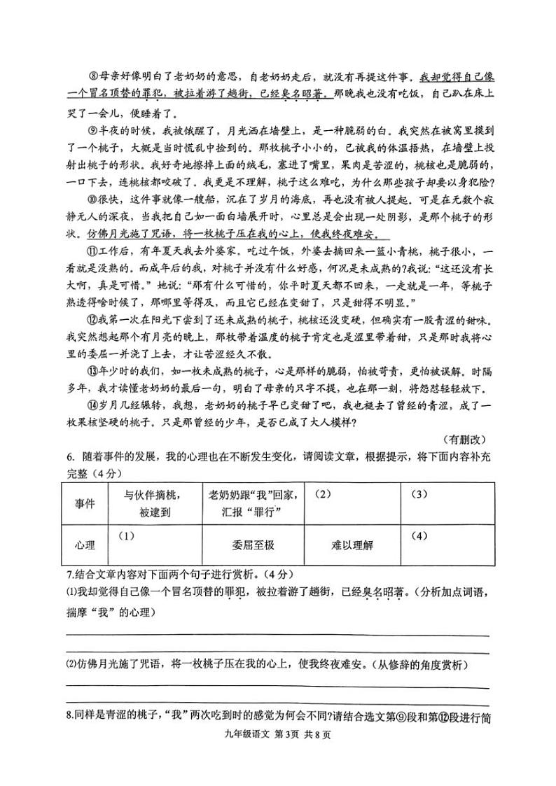 河南省驻马店市上蔡县2024~2025学年九年级上学期期中语文试卷(含答案)第3页