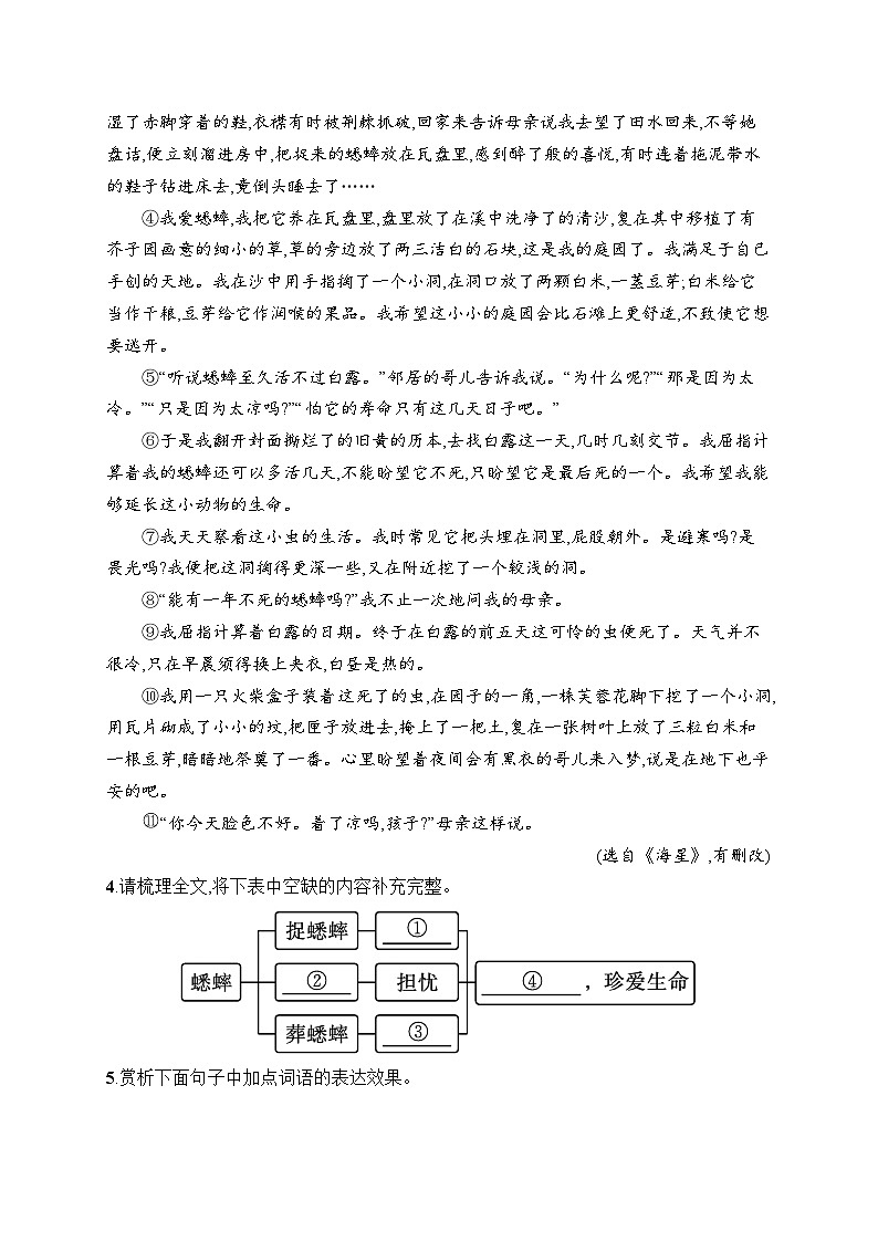 17 猫 同步练习(含答案)统编版(2024)语文七年级上册第2页