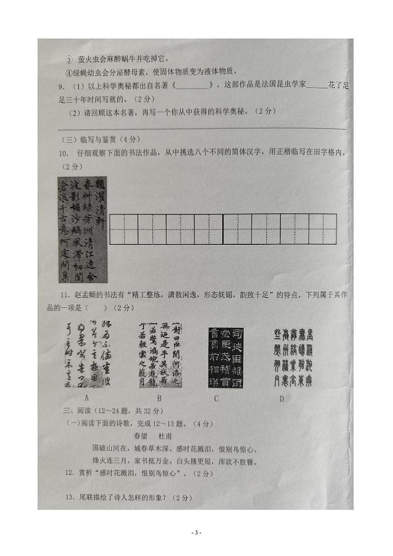 云南省文山壮族苗族自治州文山市第二学区2024-2025学年八年级上学期11月期中考试语文试题第3页